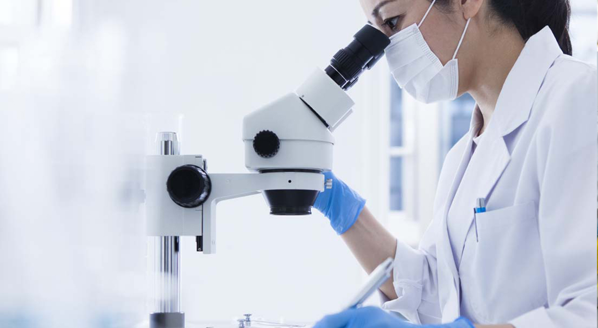 GA黄金甲·(中国区)官方网站