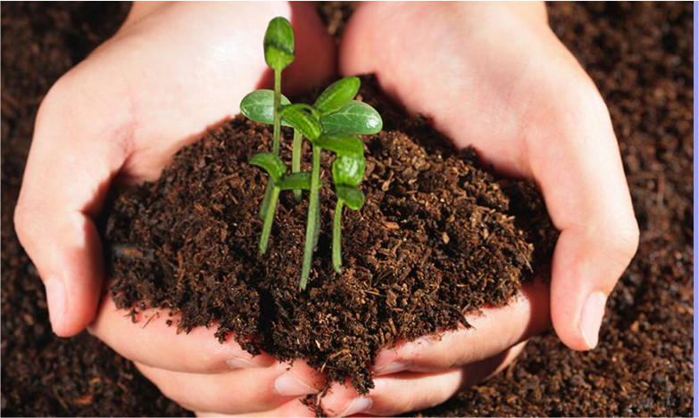 GA黄金甲·(中国区)官方网站