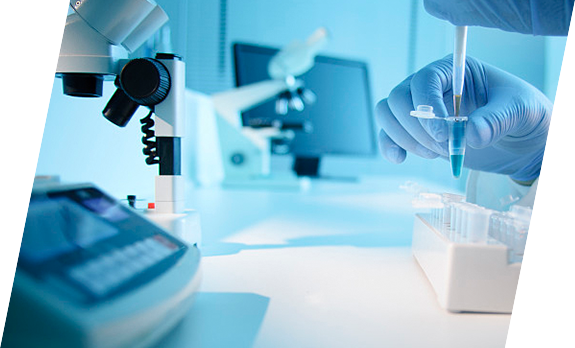 GA黄金甲·(中国区)官方网站